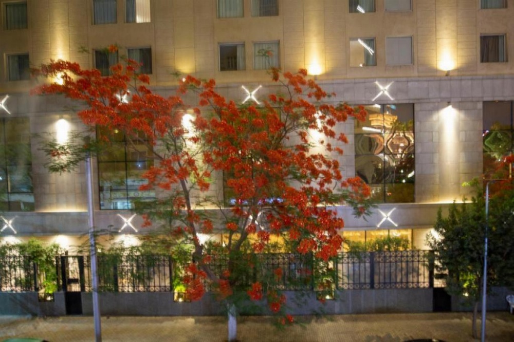 Superior Single Room